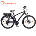 dynavolt hot sale 2 wheel e-bike 1000w